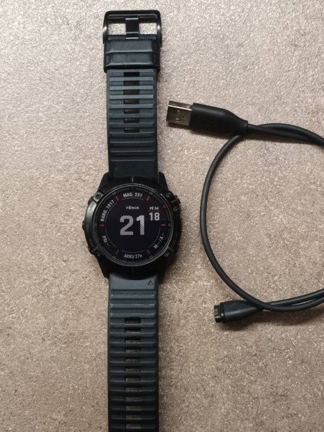 Garmin Fenix 6x Pro 