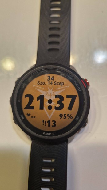 Garmin Forerunner 245 Music