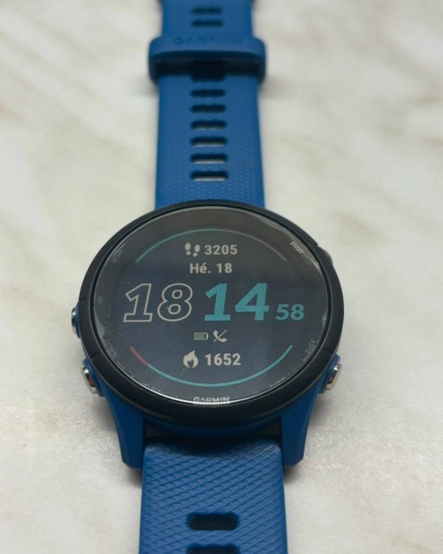 Garmin Forerunner 255