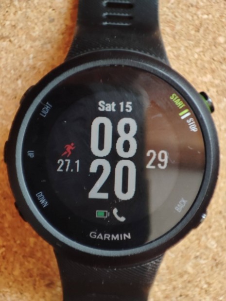 Garmin Forerunner 45