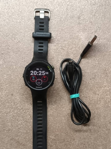 Garmin Forerunner 45