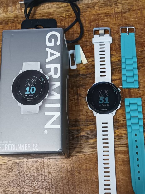 Garmin Forerunner 55