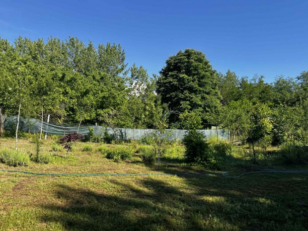 Gazd�lkodjon T�alm�son: term�keny f�ldek �s v�gtelen lehet�s�gek v�rj�