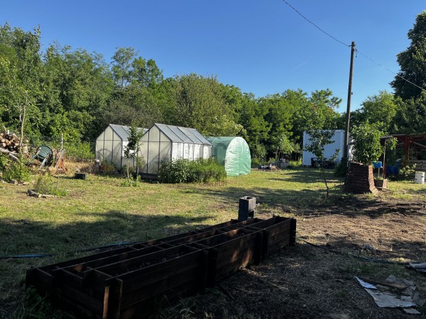 Gazd�lkodjon T�alm�son: term�keny f�ldek �s v�gtelen lehet�s�gek v�rj�