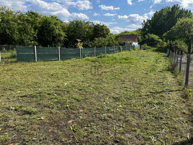 Gazd�lkodjon T�alm�son: term�keny f�ldek �s v�gtelen lehet�s�gek v�rj�