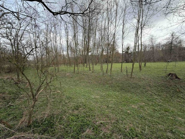 Gazd�lkod�k figyelem! Kiv�teles lehet�s�g a Bakonyban  2980 m-es