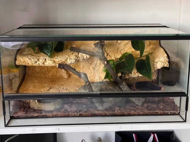 Gekkó terrárium