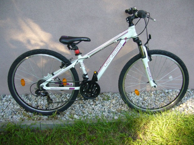 Genesis 26" mountain bike