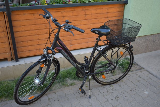 Gepida Alboin Pro 200 Női kerékpár bicikli Trekking