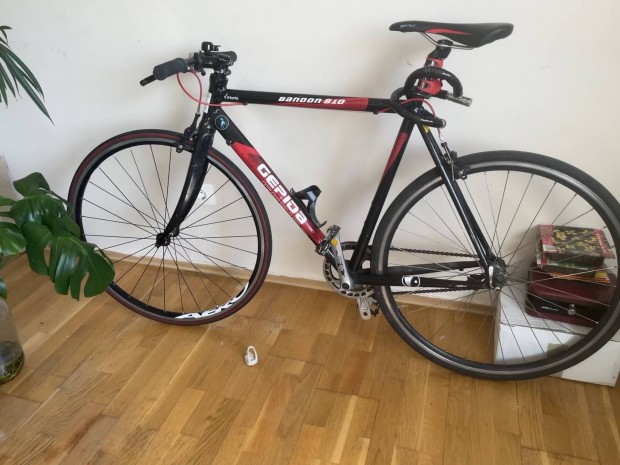Gepida Bandon 810 kerékpár