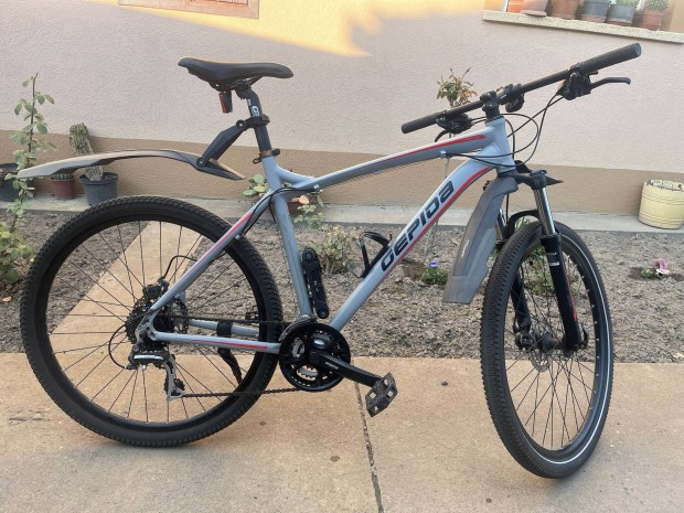 Gepida Mundo Pro Mountain Bike