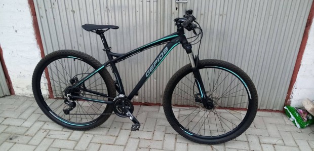 Gepida Sirmium 29 MTB