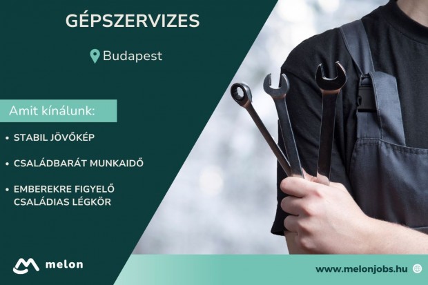 G�pszervizes, g�p�zemeltet�-karbantart�