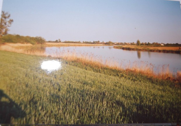 Gergelyiugornya-J�nd k�z�tt a Halv�ny-t� 71.000m2 (7,1 Ha)