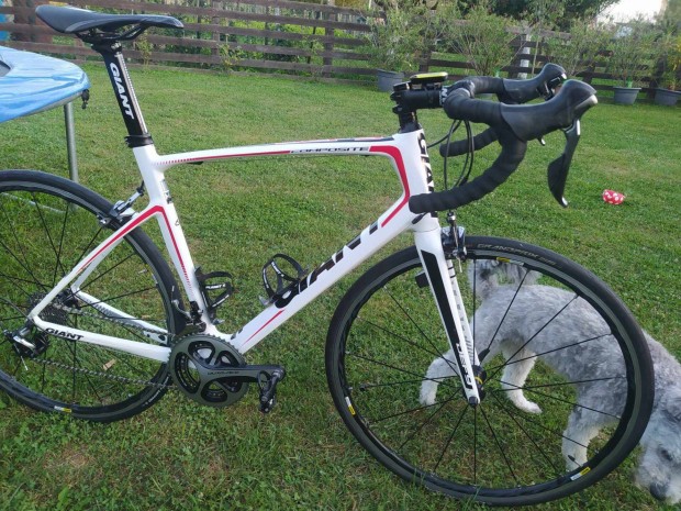 Giant Carbon road bike Full Dura-Ace !