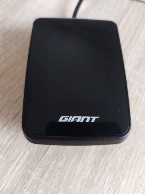 Giant Ridedash Evo, 245-Fldpev-02 kijelző