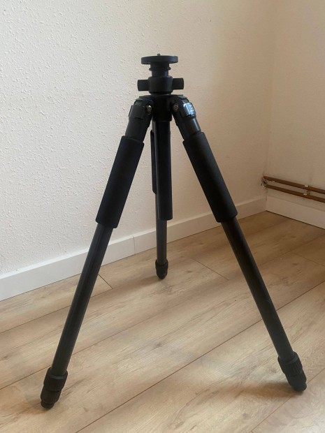 Giottos Tripod