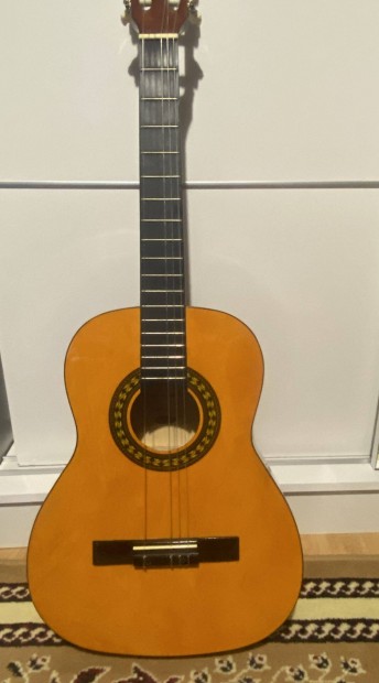 Gitr stagg C530