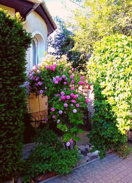 Gödöllő mellett Villa jellegű, szaunás családi ház Áron Alul
