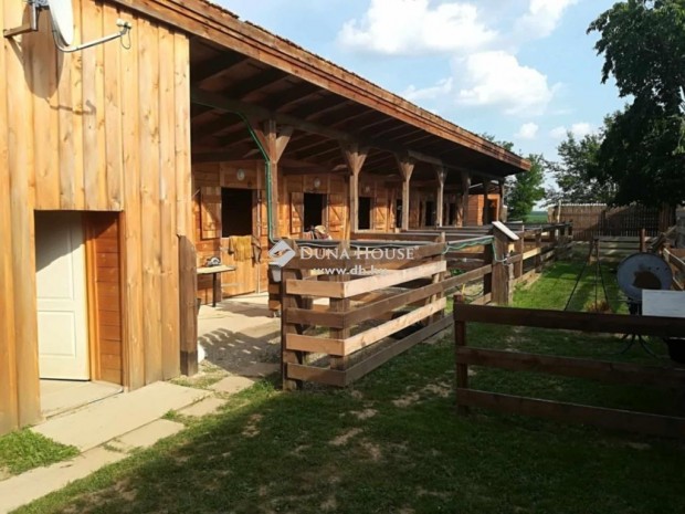 G�llei elad� 92 nm-es h�z