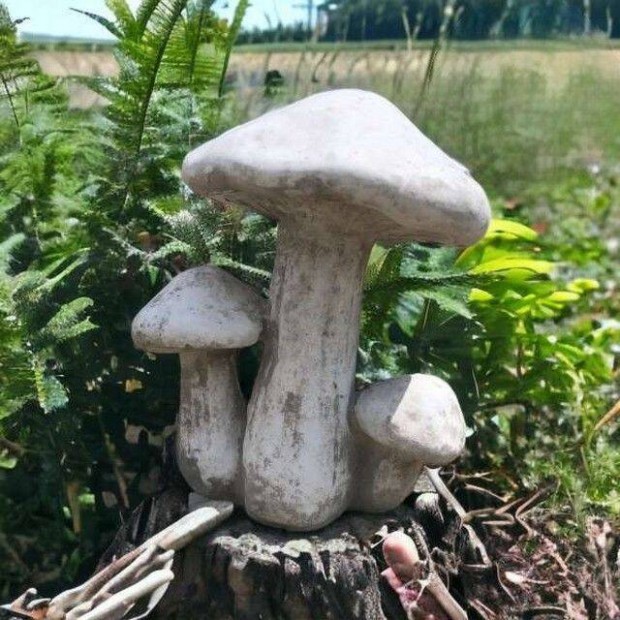 Gomba kerti dszek