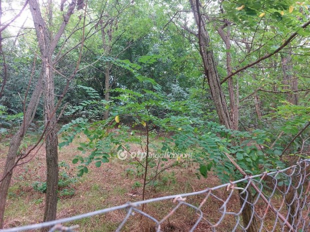 Gombai elad� 3679 nm-es telek