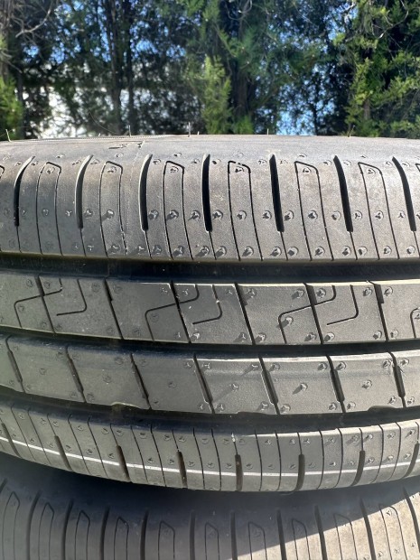 Goodyear Efficientgrip Performance 2