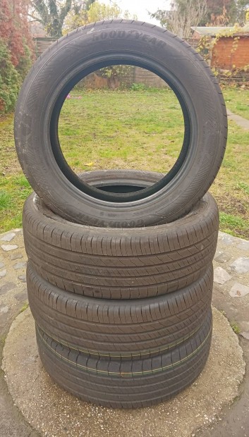 Goodyear Efficientgrip Performance 2 nyri gumi - 215/55R18 99V