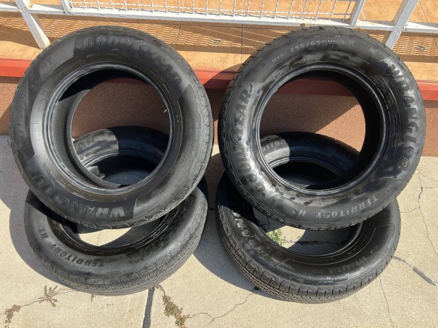 Goodyear Wrangler Territory AT/S 255/65 R18 111H