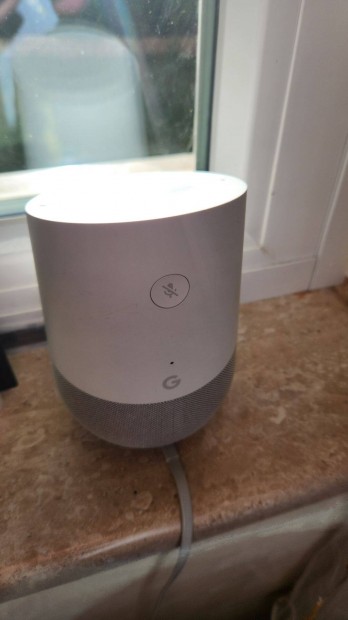 Google Home Assistant