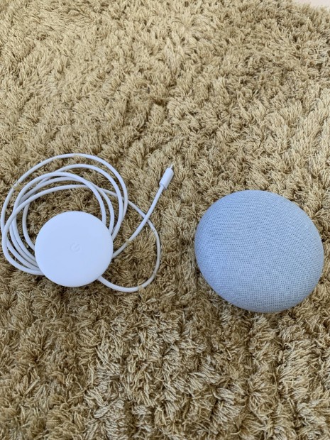 Google Home Mini