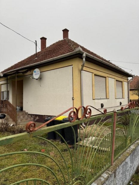 G�rbeh�zai elad� 60 nm-es h�z