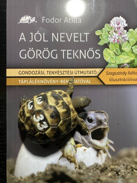 Grg Tekns