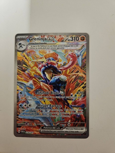 Greninja ex (TWM 214)