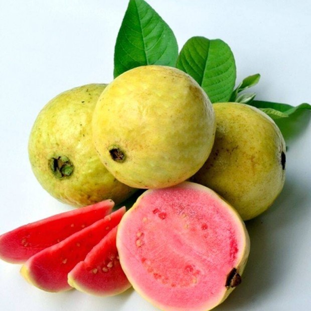 Guava nvny elad