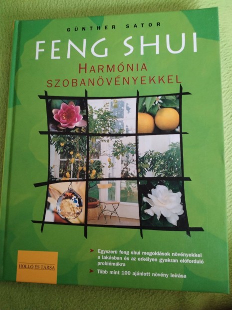 Gnther Sator : Feng shui harmnia szobanvnyekkel