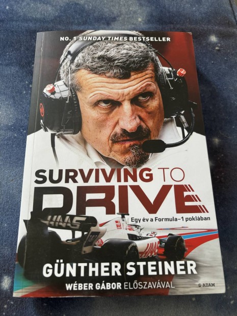 Gnther Steiner: Surviving to drive