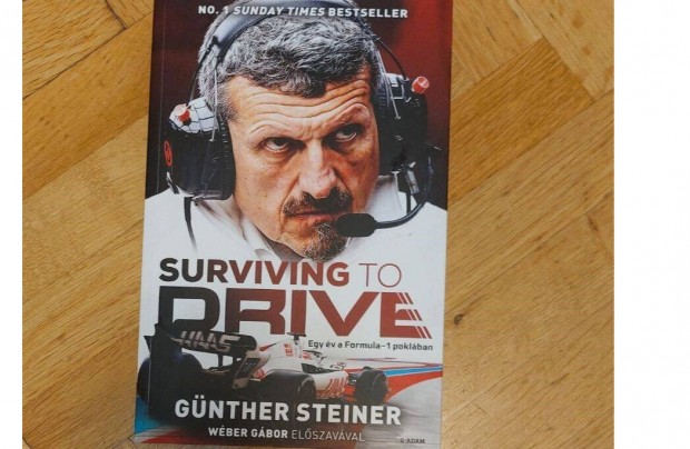 Gnther Steiner: Surviving to drive (magyar)
