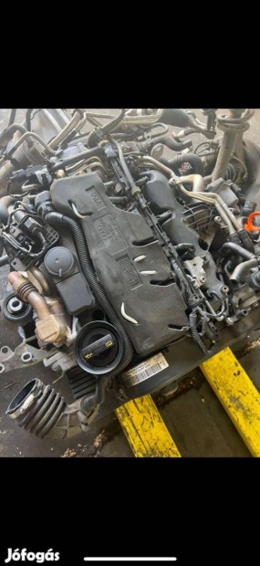 Gyri Audi CAH motor