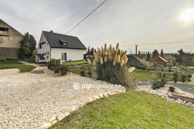 Gyenesdi�si 150 nm-es h�z elad�