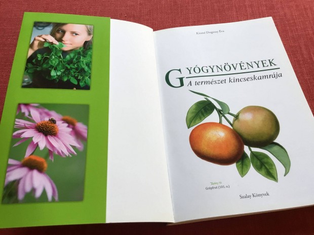 Gyógynövények- A természet kincseskamrája -új, hibátlan