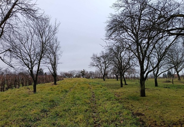 Gy�ngy�sfaluban z�rtkerti ingatlan elad�