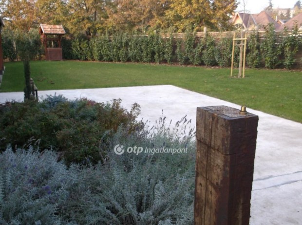 Gy�ngy�starj�ni 63 nm-es h�z elad�