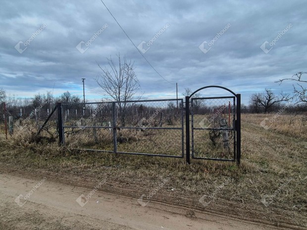 Gy�ny�r� panor�m�s k�rnyezetben elad� �p�t�si telek