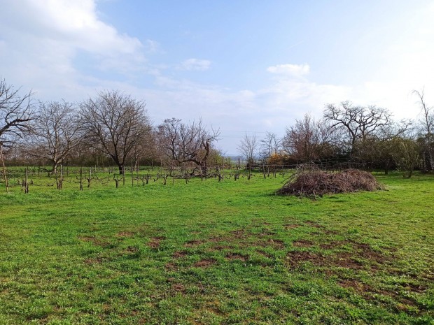 Gyr-Sashegyen 2000 m2-es telek elad