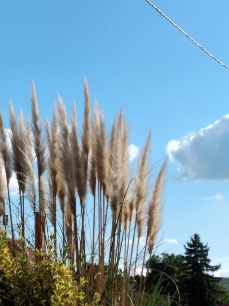 Győr környéki 3 szobás ház eladó
