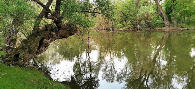 Győri 783 nm-es telek eladó