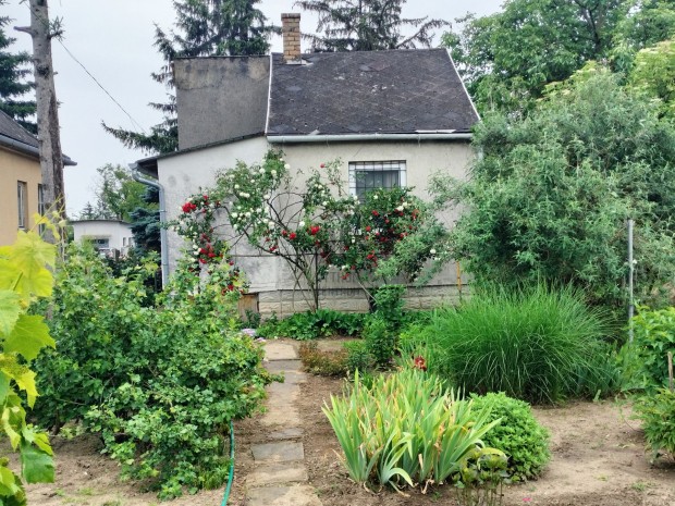 Gy�ri elad� t�gla csal�di h�z