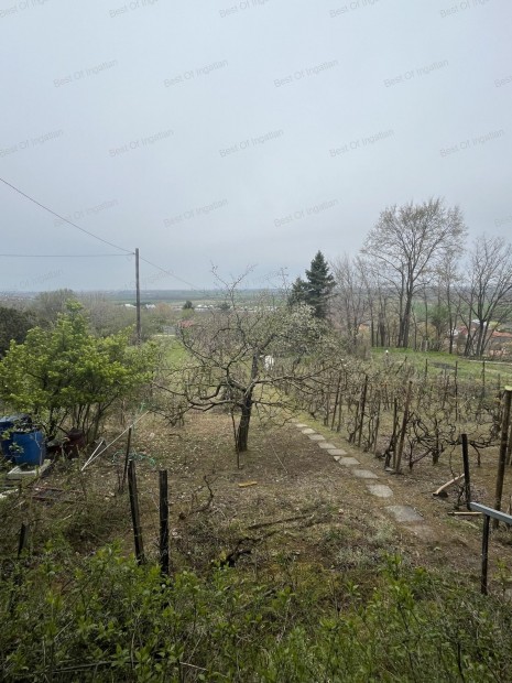 Gy�r�jbar�ton 1140 m2-es z�rtkert, fah�zzal elad�!