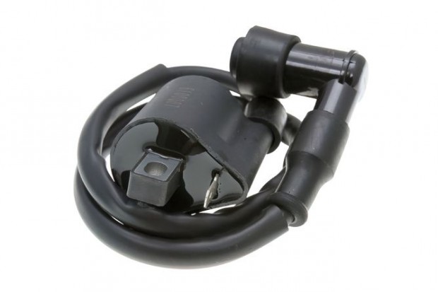 Gy�jt�tekercs gyertyapip�val Generic Trigger